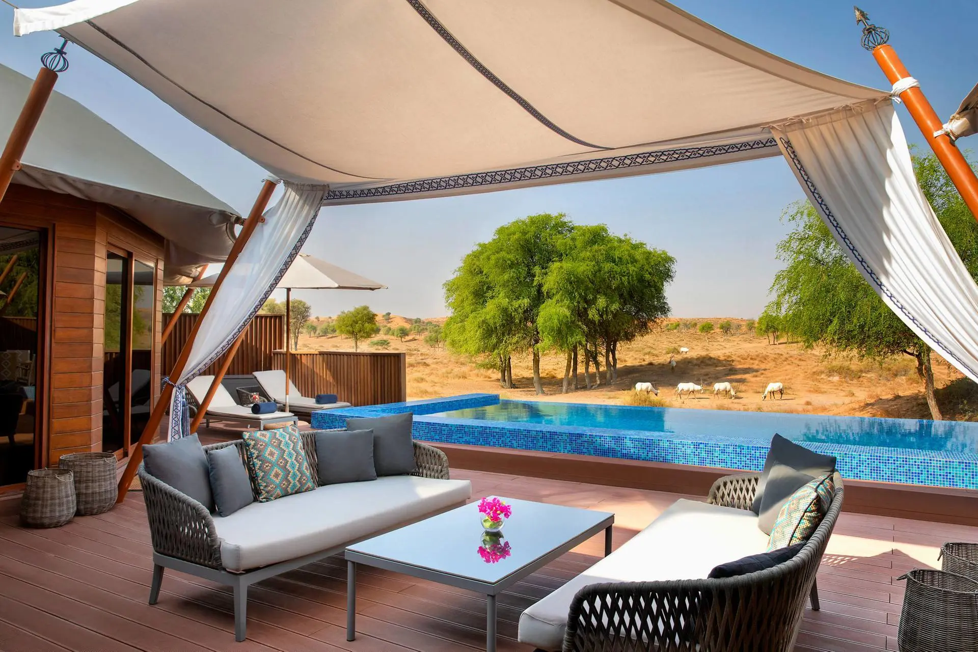 Al Sarab Tented Villa 4