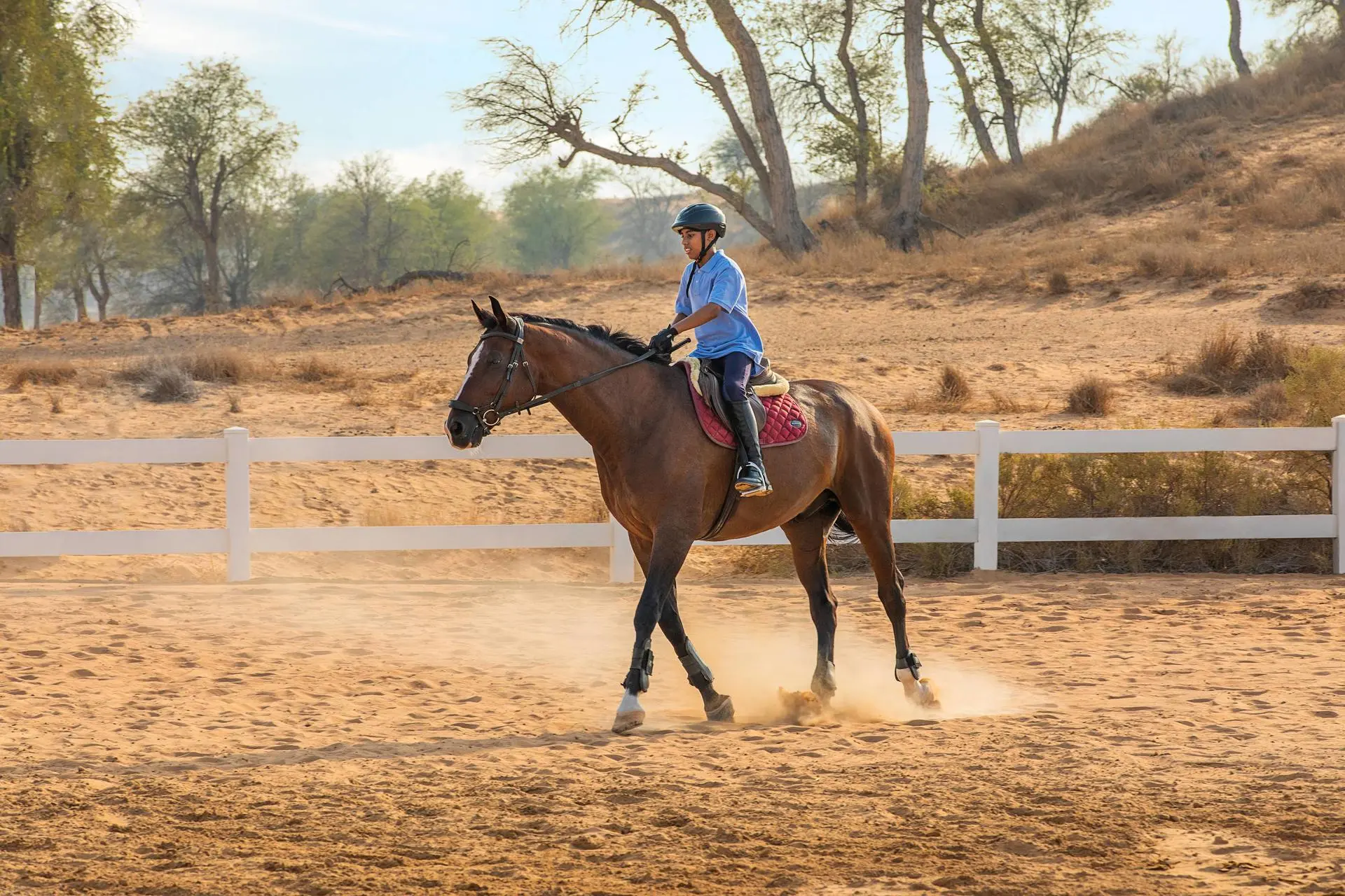 Horseback Riding