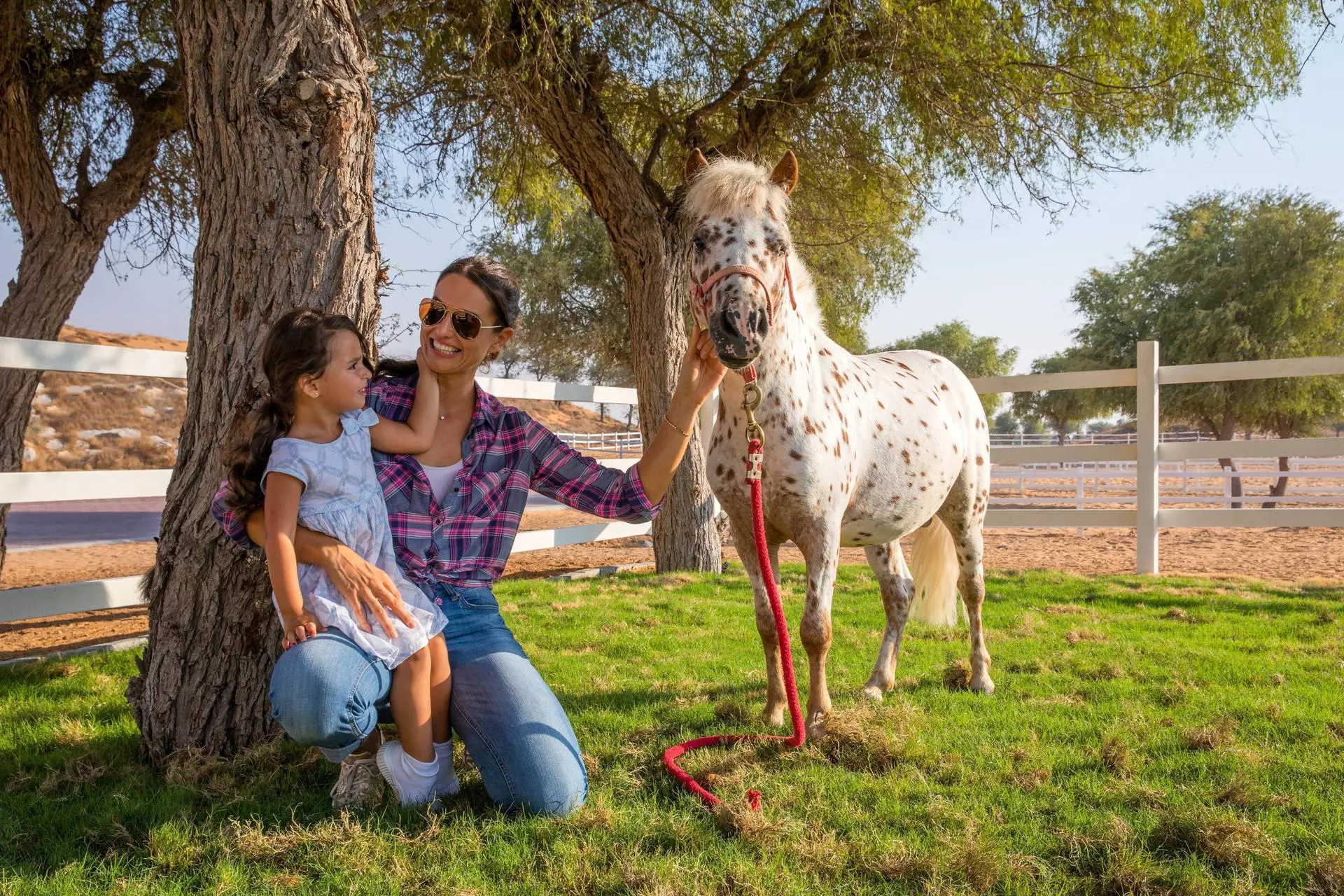 Al Wadi Nature Reserve 3