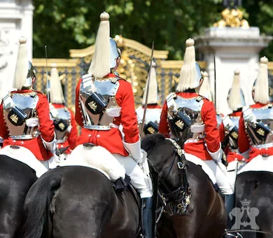 Changing Of The Guard Tour - VIP Trips For Kids