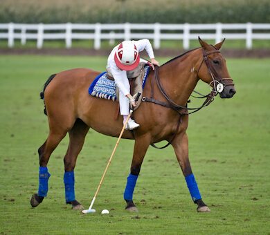 A child playing polo