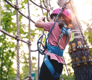 Treetop Adventure with VIP Trips For Kids