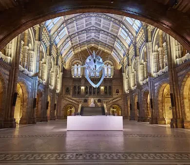 An exclusive Natural History Museum private tour for families highlighting dinosaur exhibits and natural wonders.