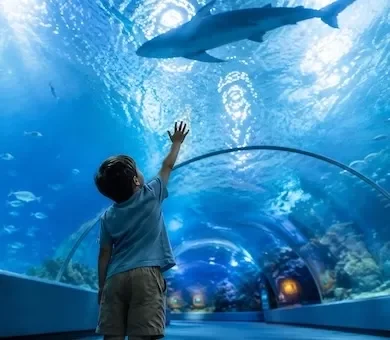 A luxury family watching colourful tropical fish swim inside a massive illuminated blue viewing tank at the Aquarium de Paris.